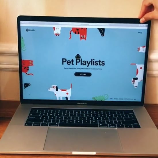 How to Make a Spotify Playlist For Your Pet