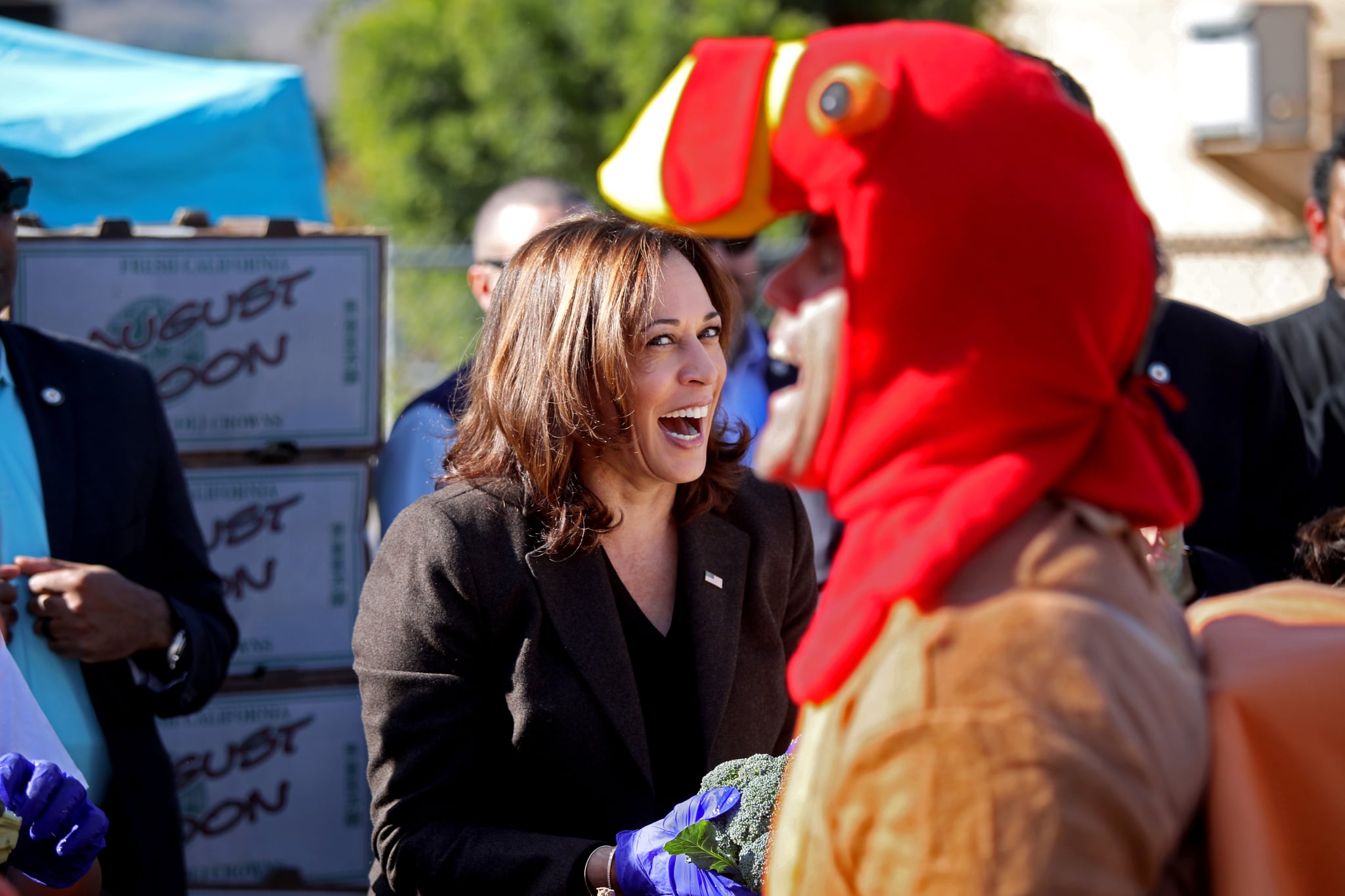 Vice President Kamala Harris handed out vegetables at a Thanksgiving event in Los Angeles. One of Harris's favorite Thanksgiving side dishes is a cornbread dressing.