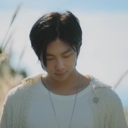 The Meaning Behind RM's New Single 
