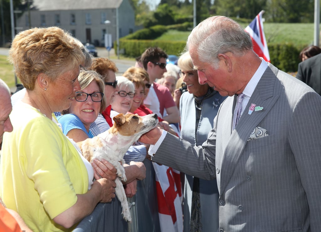 Photos of Prince Charles With Animals