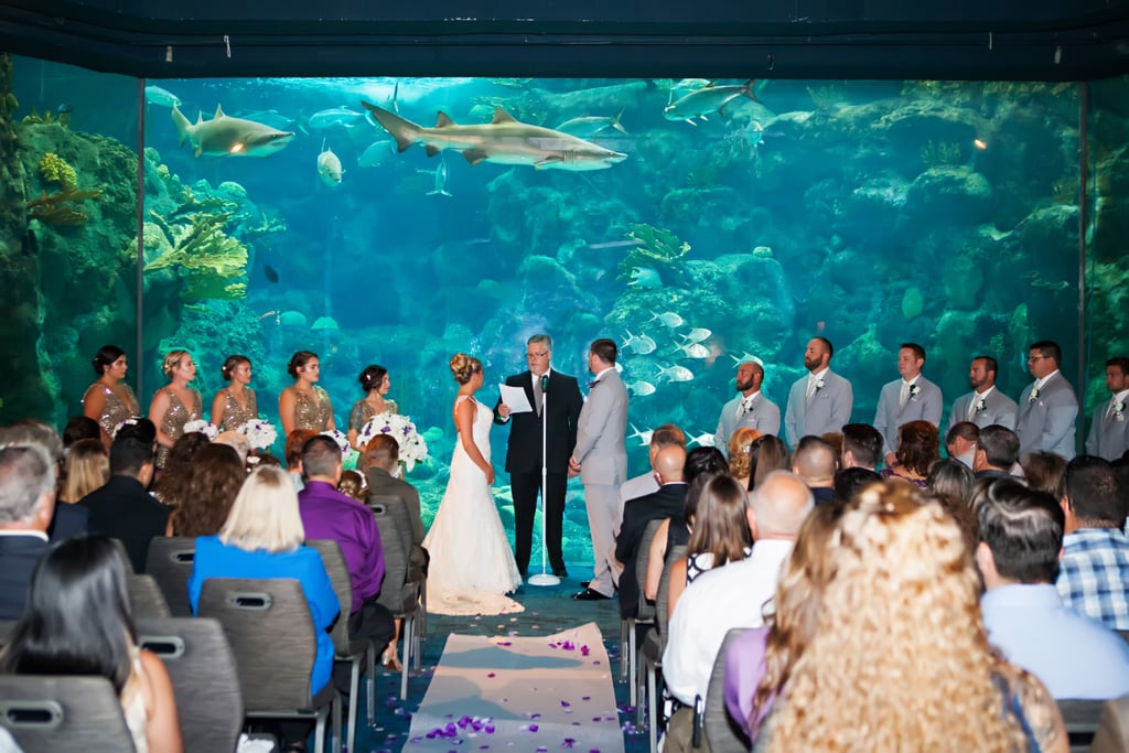Aquarium Wedding POPSUGAR Love & Sex Photo 42