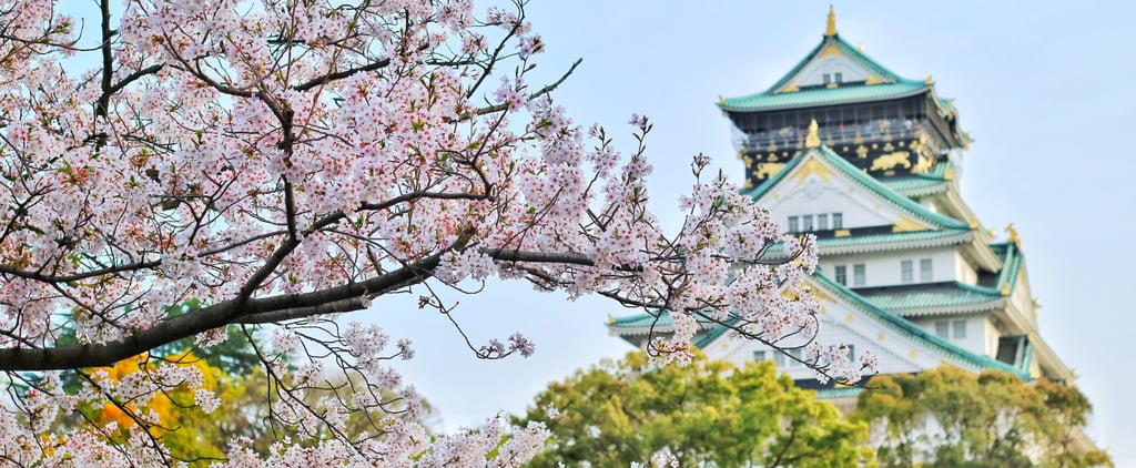Just 34 Stunning Photos of Cherry Blossoms That'll Make You Bloom With Happiness