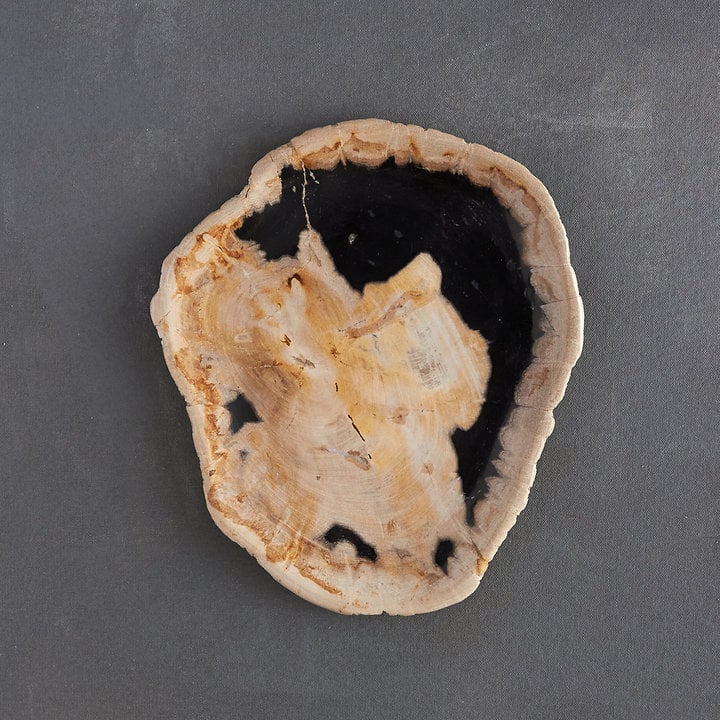 Petrified Wood Tray We Can T Get Over How Insanely Stylish