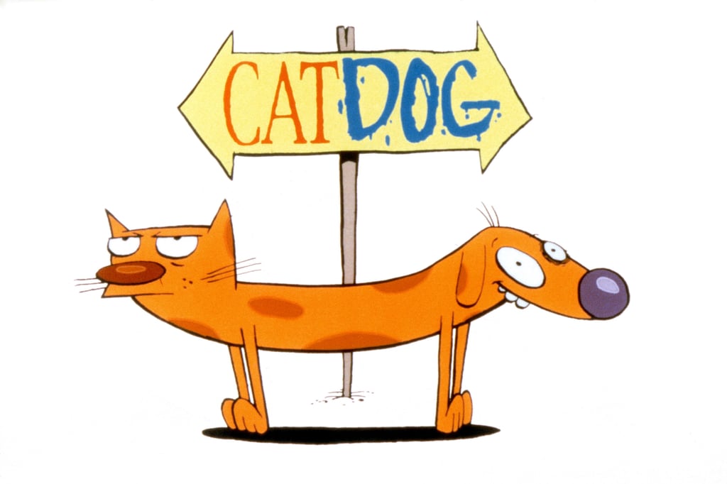 Cat and Dog From CatDog