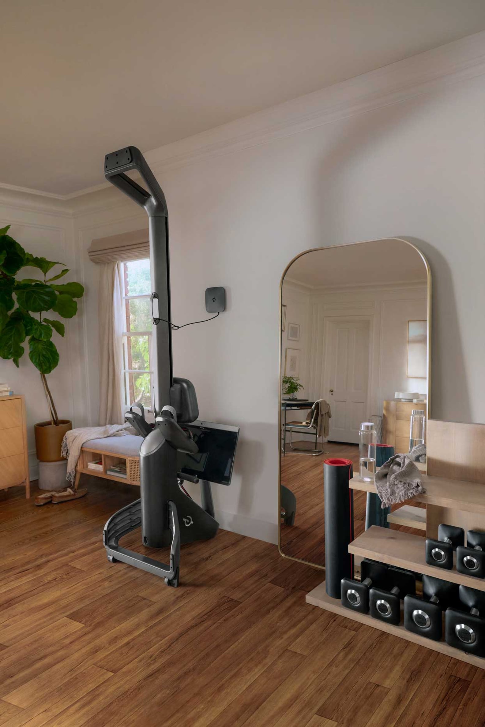 The Peloton Rower Is Officially Available For Preorder | PS Fitness