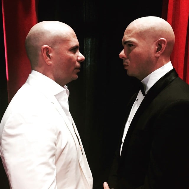 Pitbull Meets His Wax Figure