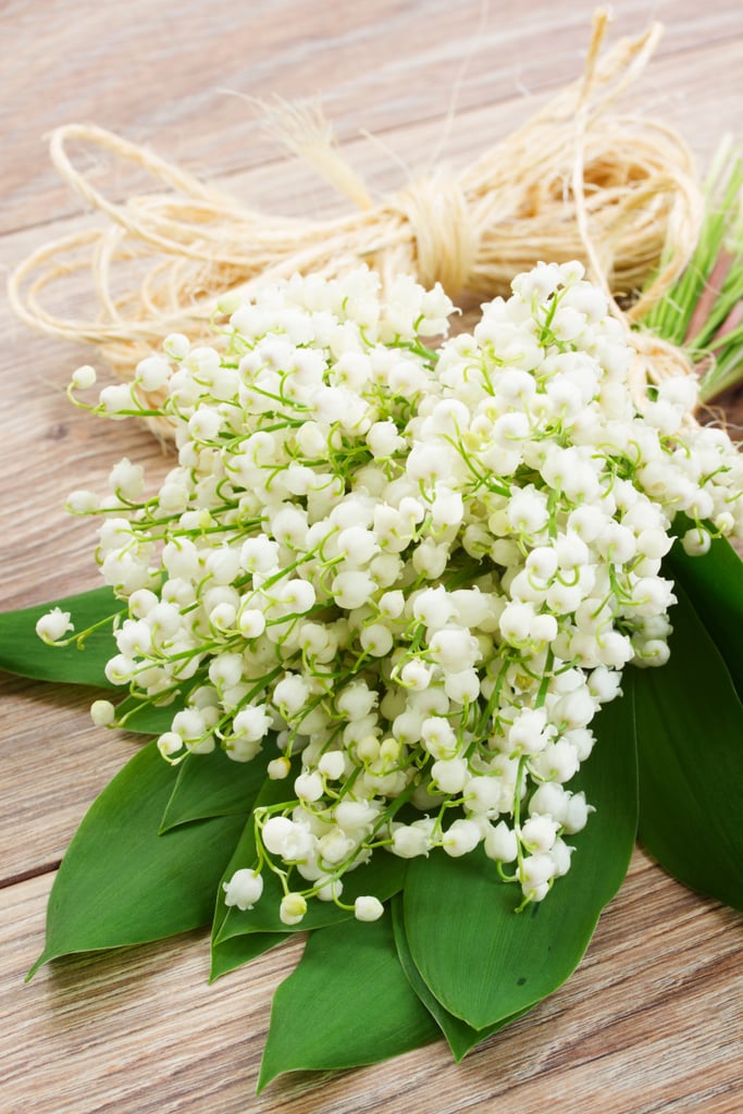 Give Your Child: Lily of the Valley