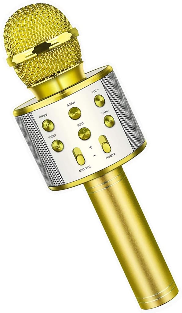 Microphone Karaoke
