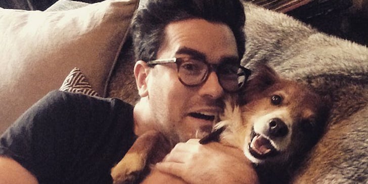 See Pictures of Dan Levy and His Rescue Dog, Redmond | POPSUGAR Pets