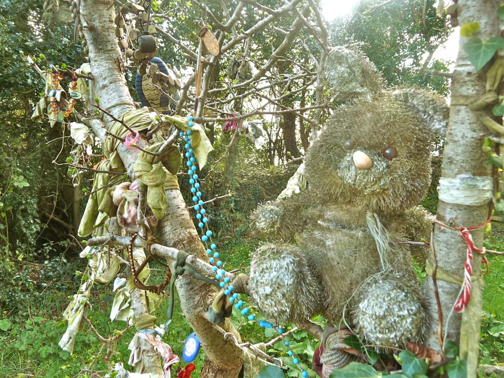 Rag Trees