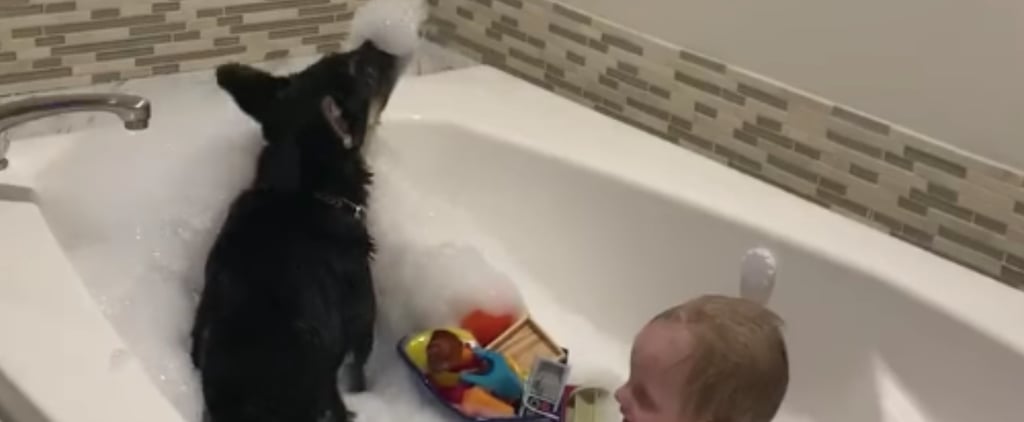 Video of a Dog Jumping the Into Bathtub With a Toddler