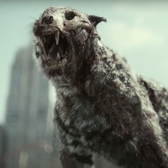 Did Army of the Dead's Tiger Belong to Siegfried & Roy?