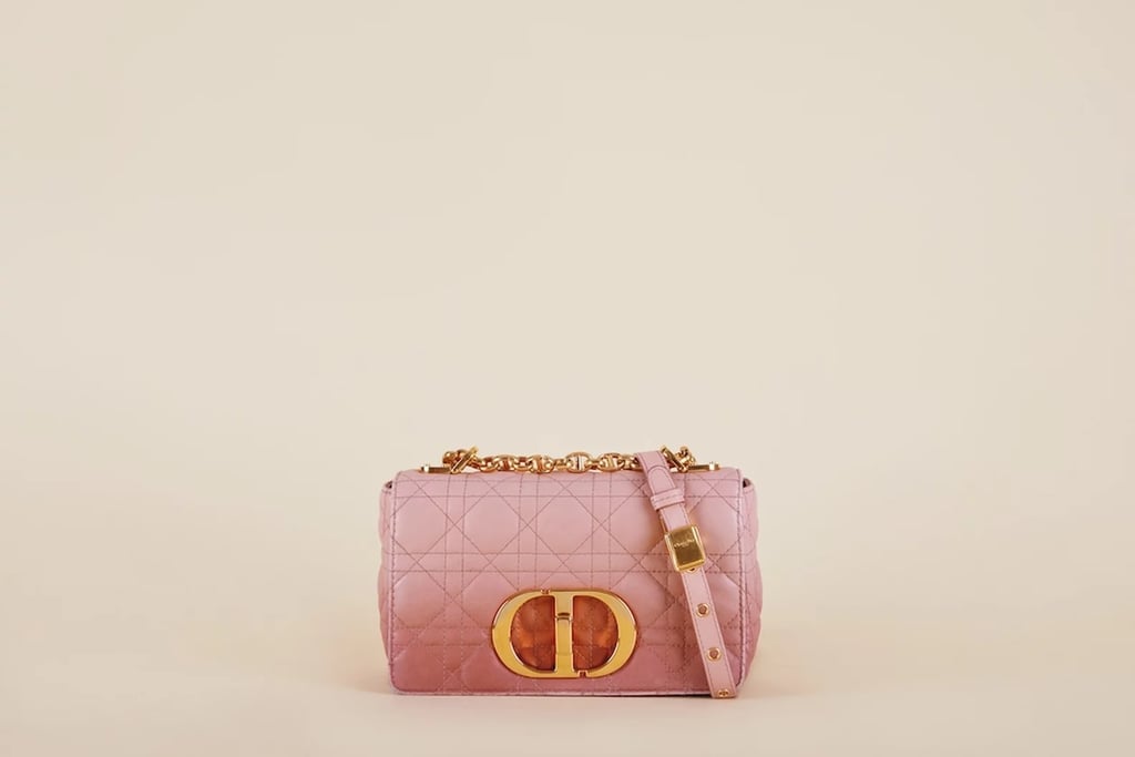 Christian Dior Lambskin Gradient Small Caro Bag