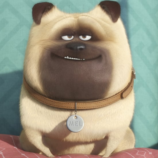 The Secret Life of Pets Trailer
