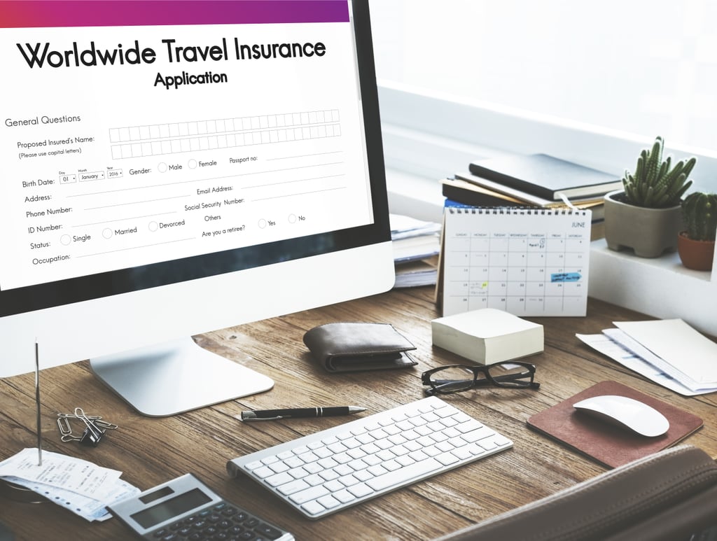 Organise Travel Insurance