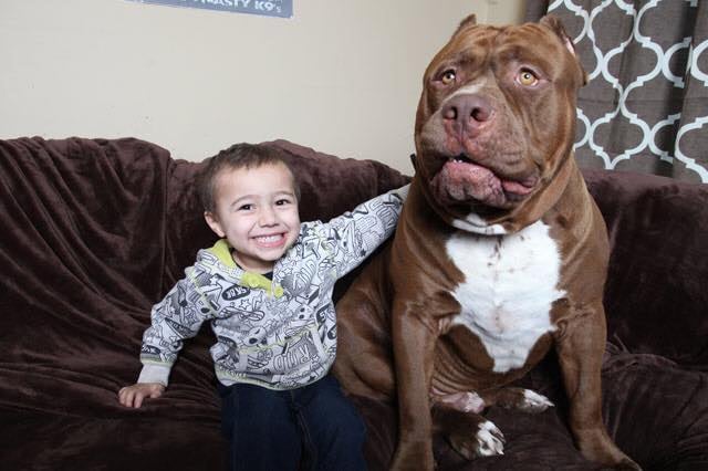 Hulk and his human best friend, Jordan.