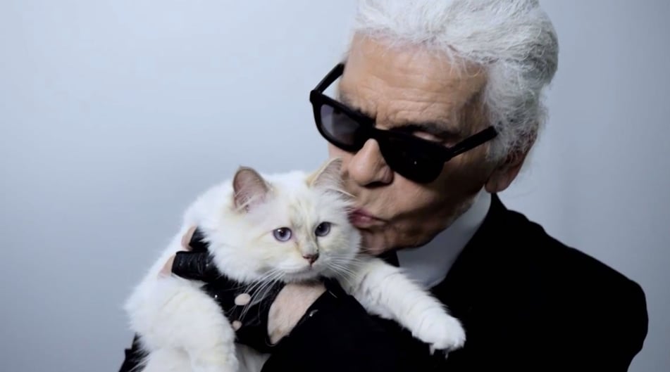 Karl Lagerfeld's Cat | Video | POPSUGAR Fashion