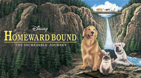 Homeward Bound: The Incredible Journey