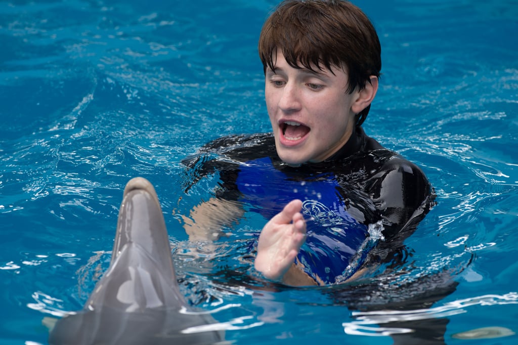 Dolphin Tale 2