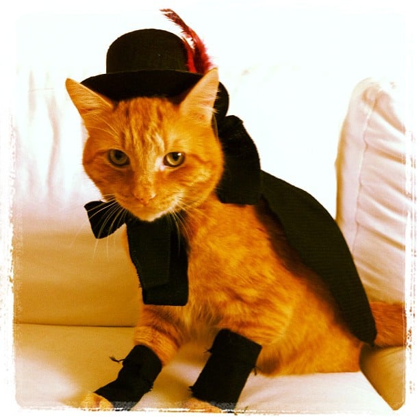So Fancy
