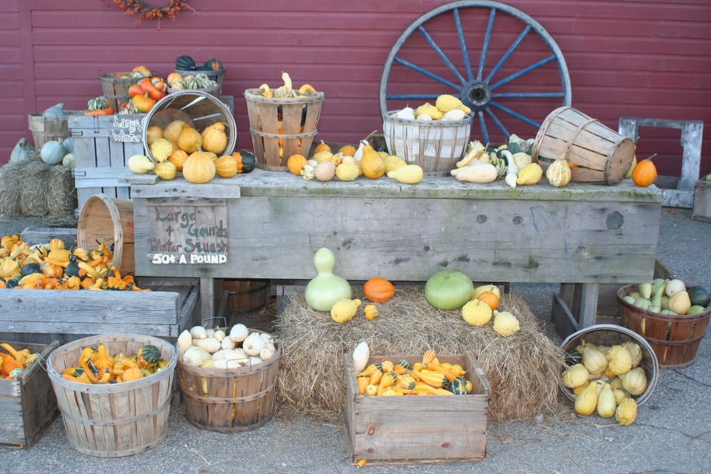 Know That It Isn't All About the Pumpkins