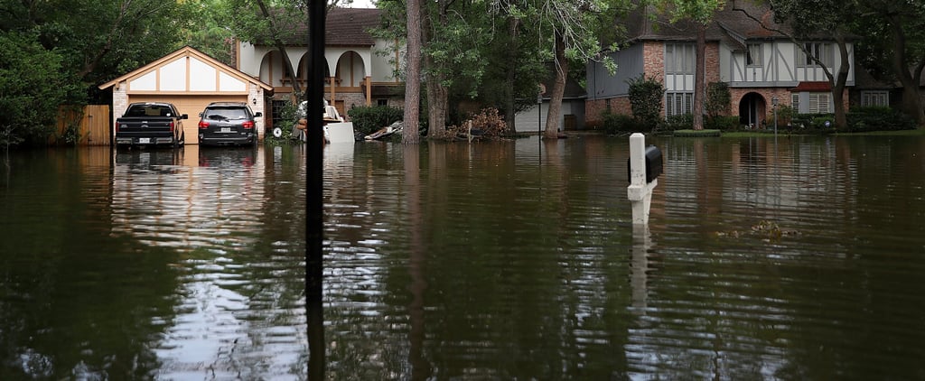 Personal Essay on Hurricane Harvey in Houston, TX