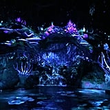 Which Pandora World of Avatar Ride Is For Kids? | POPSUGAR ...