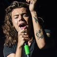 Harry Styles Pretty Much Confirmed One Direction's "Perfect" Is About Taylor Swift