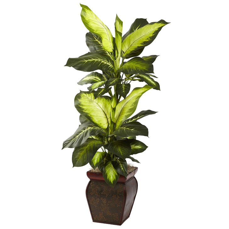 Golden Dieffenbachia With Decorative Planter | Best Fake ...