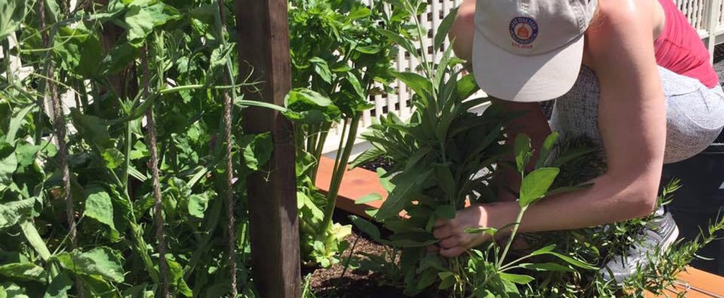The Right Way to Prepare Your Garden For the Next Season