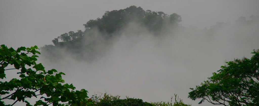 What It Was Like to Live in the Ecuadorian Rainforest
