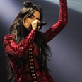 Camila Cabello's Thoughts on Harmonizers and Social Media Will Break Your Heart