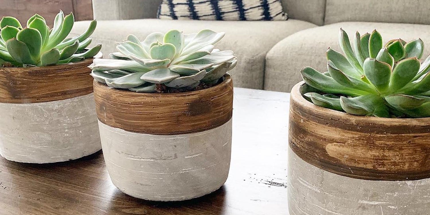 large ceramic flower pot Maia Planter main image 1