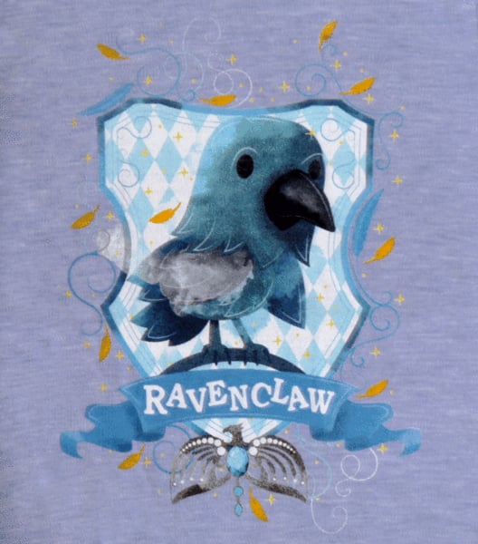 Ravenclaw House Baby Grow and Bib