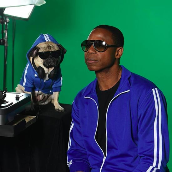 Doug the Pug Febreze Commercial