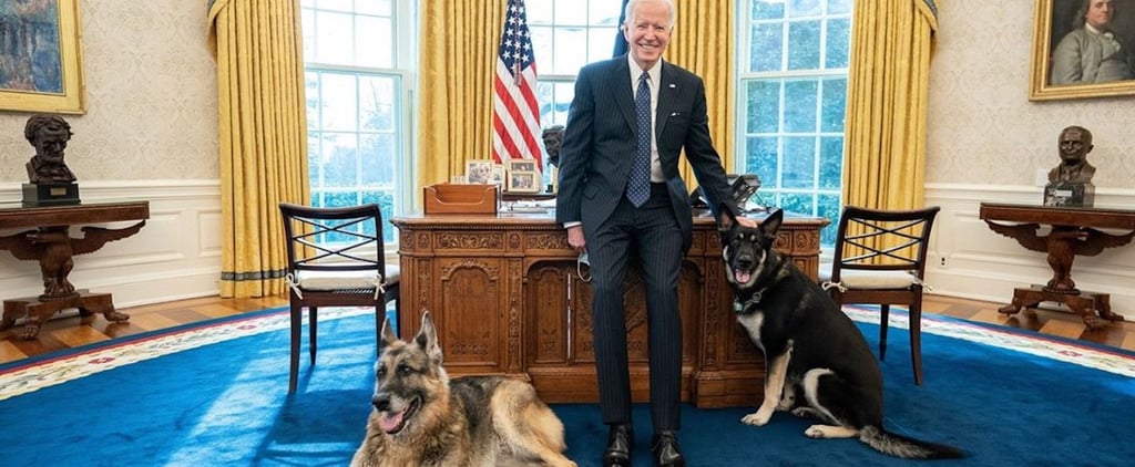 See Champ and Major Biden's First Oval Office Photo