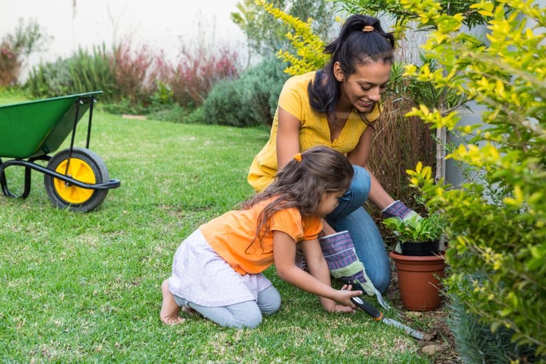 Create a Garden