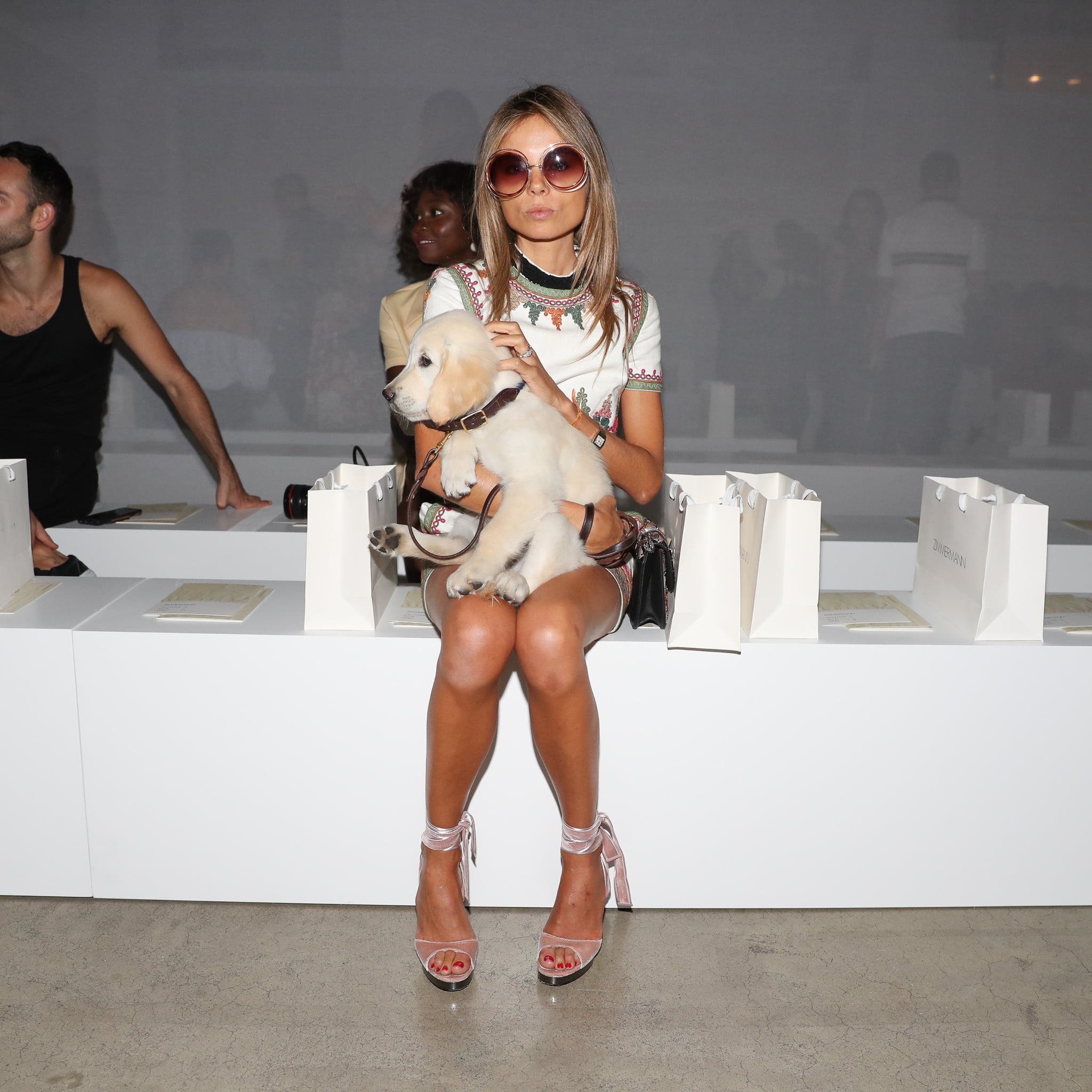 Erica Pelosini S Dog Attending The Zimmermann Show The Only Fashion Week Trend Cute Enough To Make You Go Aww Popsugar Fashion Photo 5
