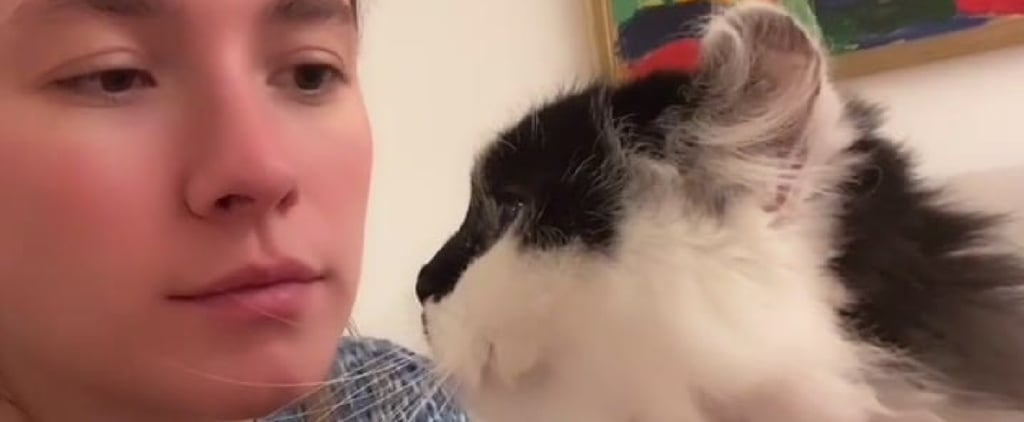 Kiss Your Pet on the Head Challenge | TikTok Videos