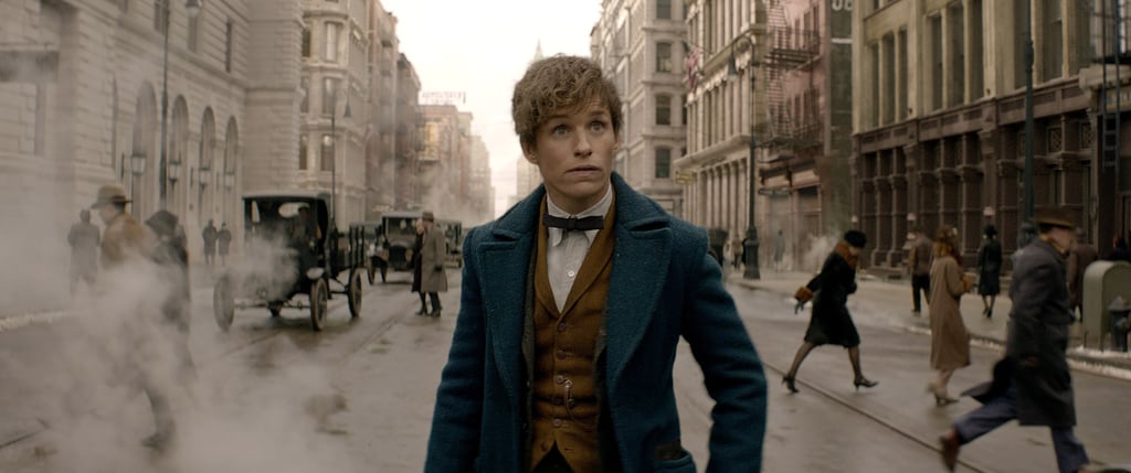 The Trajectory of New Scamander