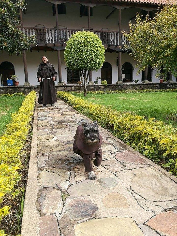 Dog Adopted by Monastery in Bolivia