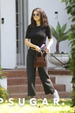 Selena Gomez Walked Her Dog in Sweats, but It's Her Mini Croc-Embossed Bag That Caught Our Eye