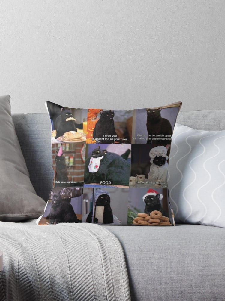 Salem Pillow Gifts For Sabrina the Teenage Witch Fans POPSUGAR