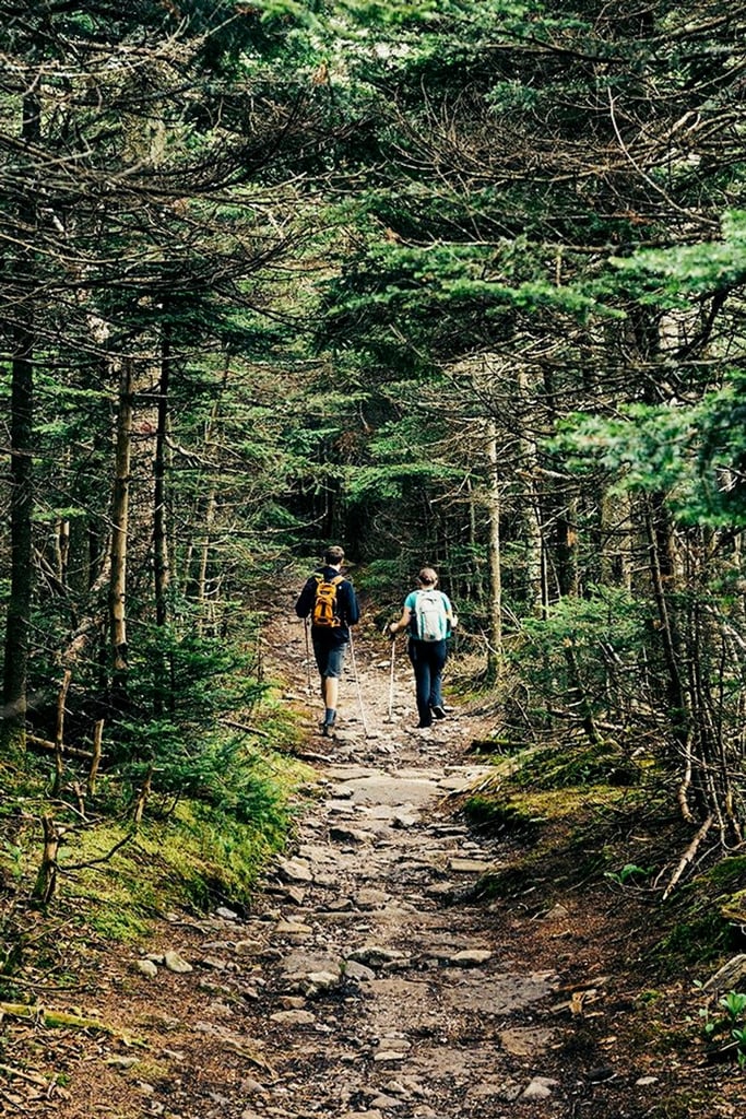 Hike, Camp, and Swim the Catskills (Catskill, NY) Best Airbnb