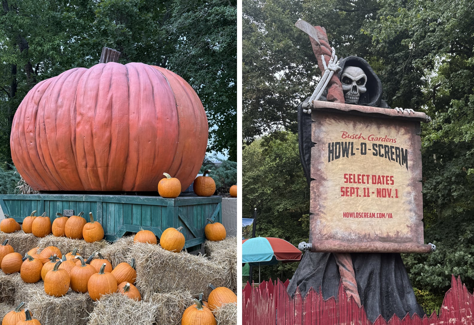 Busch Gardens Howl-O-Scream Review With Photos | PS Travel