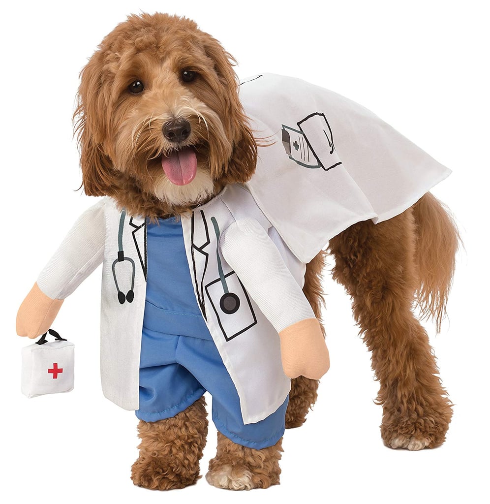 Vet Pet Costume