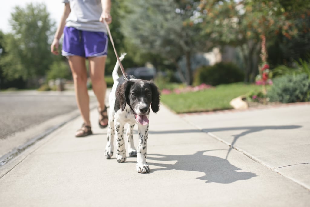 Allow Them Flexibility on Their Walks