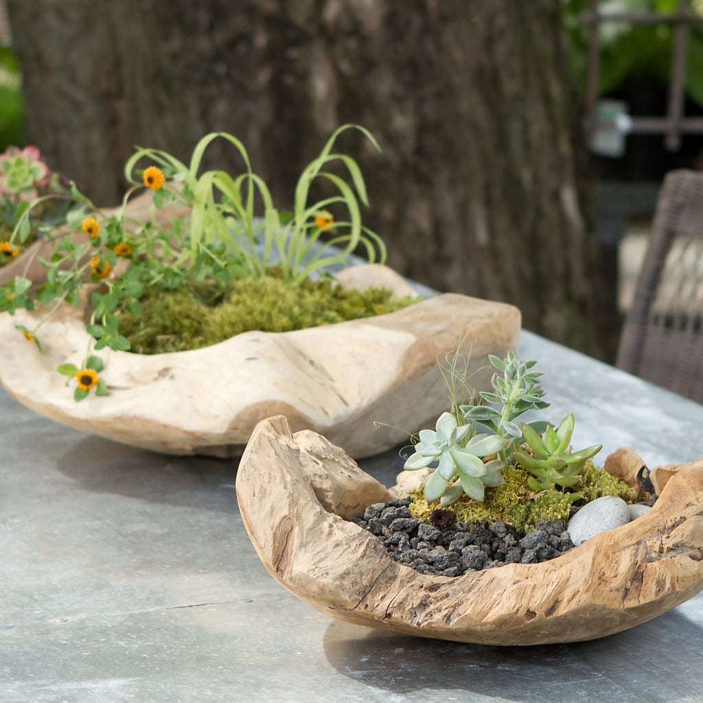 Carved Teak Bowl Planter