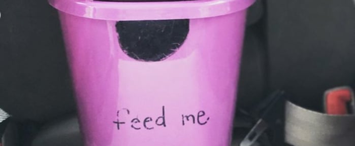 This Mom's  $1 Hack For Keeping Car Trash at Bay Is Genius