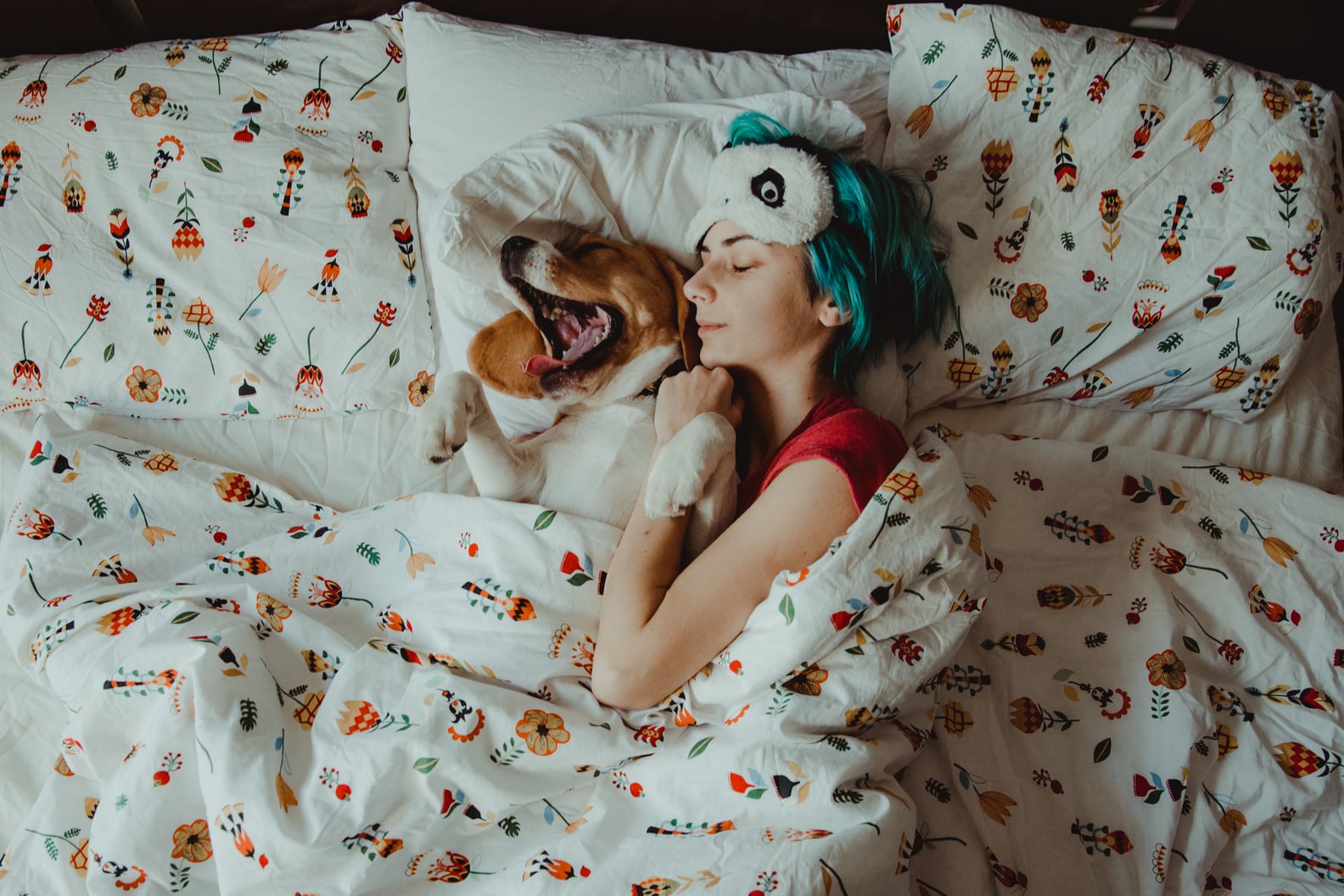 Should I Let My Dog Sleep in My Bed? POPSUGAR Pets